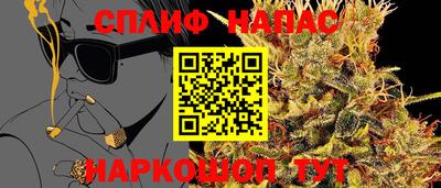 крисы Славгород