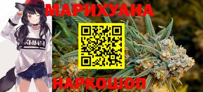 крисы Славгород