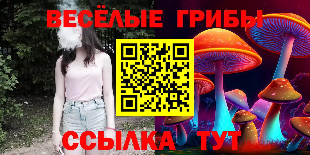 Псилоцибиновые грибы GOLDEN TEACHER  Вход с VPN  Сунжа 