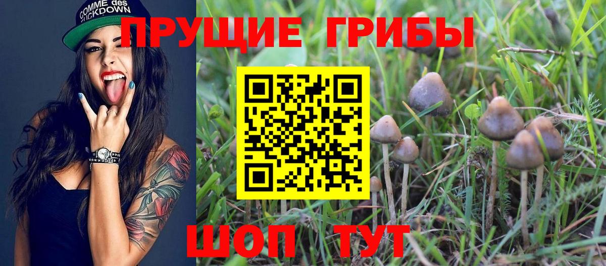 Псилоцибиновые грибы мухоморы Сунжа