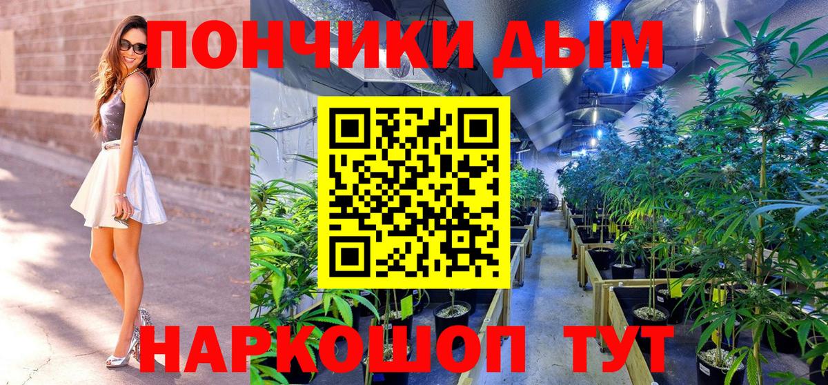 Бошки Шишки Bruce Banner  Вход с VPN  Сунжа  Бошки марихуана LSD WEED  Марихуана Bruce Banner 
